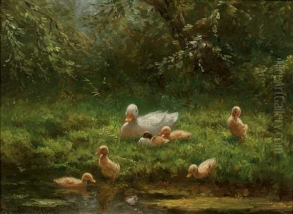 Mother Duck With Her Ducklings - view 1
