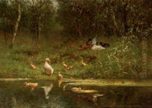 Ducks And Ducklings On A Riverbank