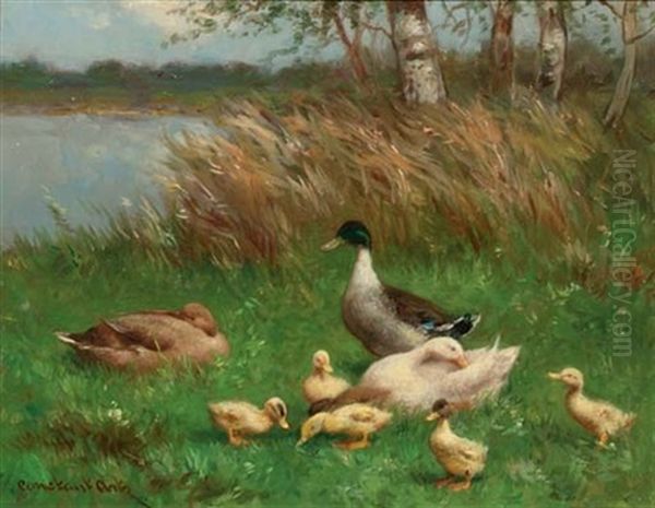 A Duck Family By A Pond - view 1