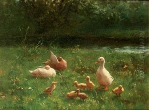 Ducks On A Riverbank Ducks On A Riverbank