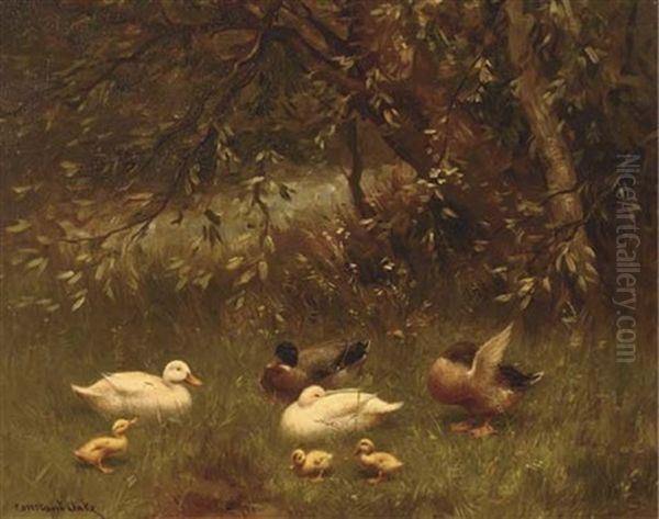 Ducks And Ducklings In The Shade Of A Tree - view 1