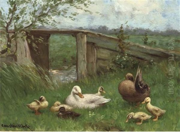 Ducks Near A Bridge - view 1