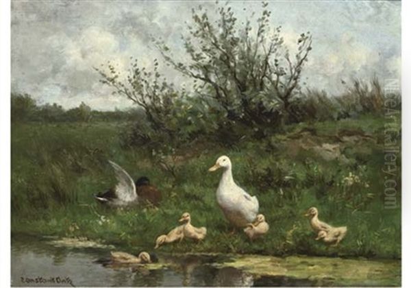 Ducks On A Riverbank - view 1