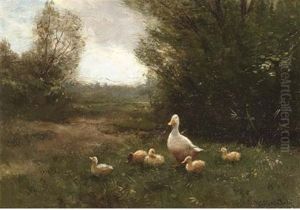 A Duck With Her Ducklings