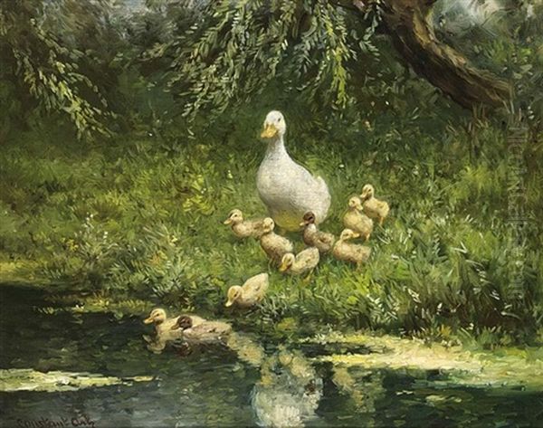 Duck With Ducklings On The Riverbank - view 1