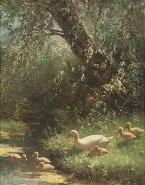 A Duck Family On The Riverbank - view 1