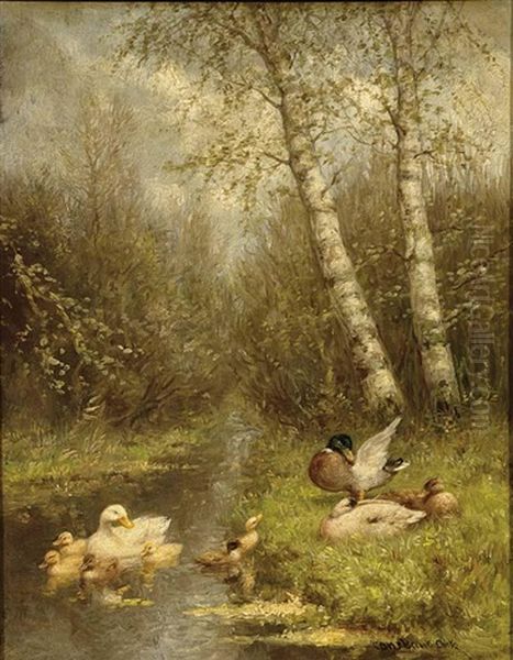 Ducks With Ducklings - view 1