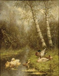 Ducks With Ducklings