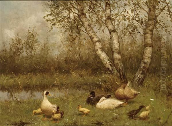Duck With Ducklings On The Riverbank - view 1