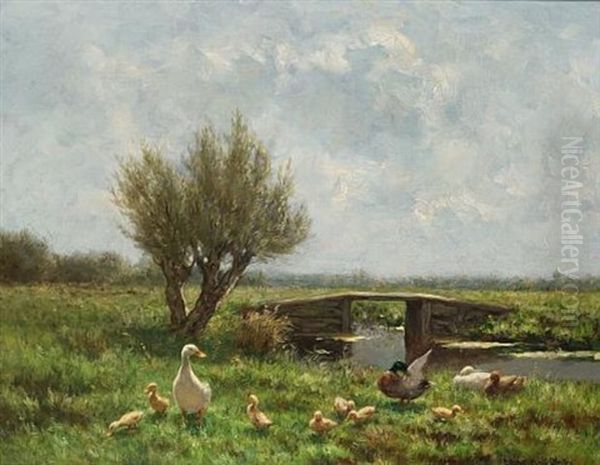 Ducks By A Riverbank - view 1
