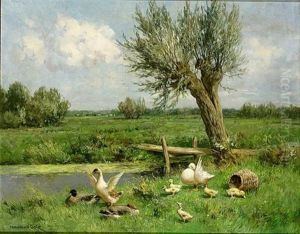 Ducks On The Riverbank