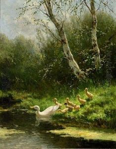 Duck With Ducklings Watering