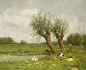 Ducks With Ducklings Near The Waterside