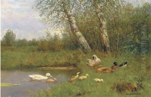 Duck And Ducklings On The Waterside - view 1