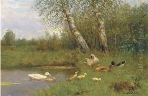 Duck And Ducklings On The Waterside