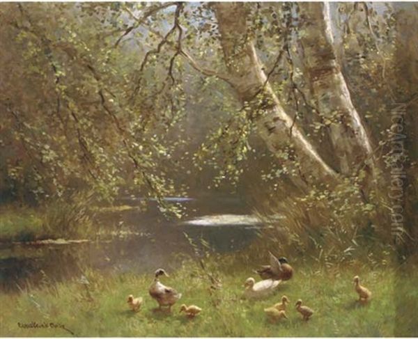 Ducks With Their Young On A Riverbank - view 1