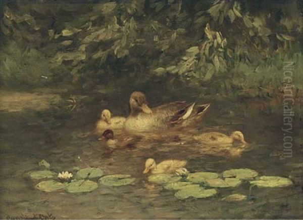 A Duck And Her Chicks On A Pond - view 1