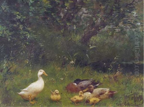 A Duck Family Near A Stream - view 1