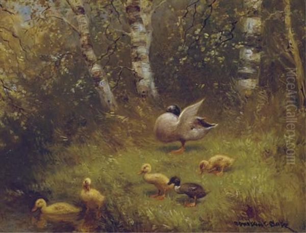 Ducks On The Waterside - view 1