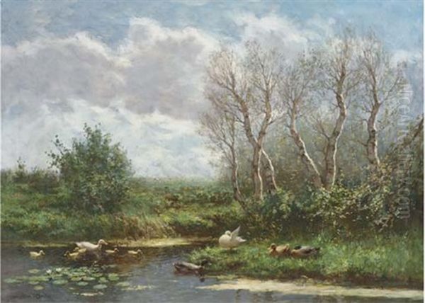 Swimming Amongst Lilies - view 1