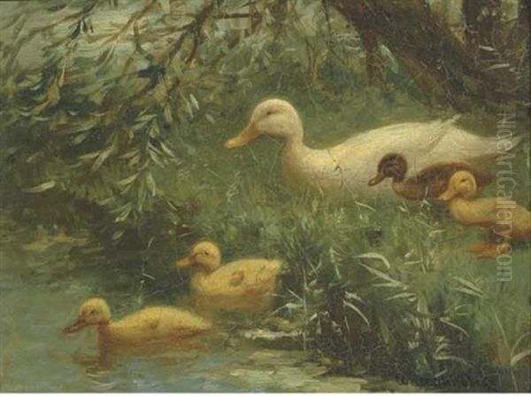 Ducklings With Their Mother At The Waterside - view 1