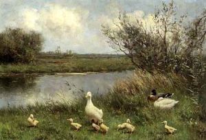Duck With Ducklings Near The Waterside