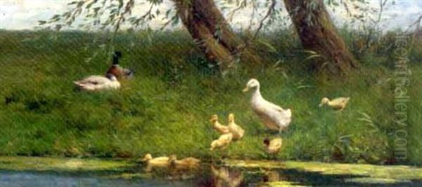 Ducks And Ducklings On A Riverbank - view 1
