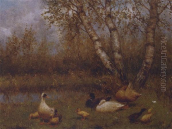 Ducks Under A Birch In A Meadow - view 1