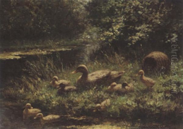 Duck With Ducklings Near The Waterside - view 1