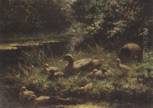 Duck With Ducklings Near The Waterside