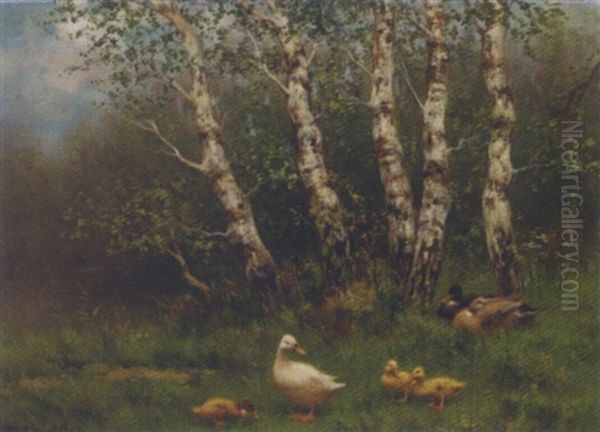 Ducks And Ducklings In A Meadow - view 1