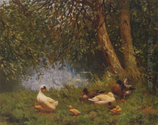 A Duck Family On A Riverbank - view 1