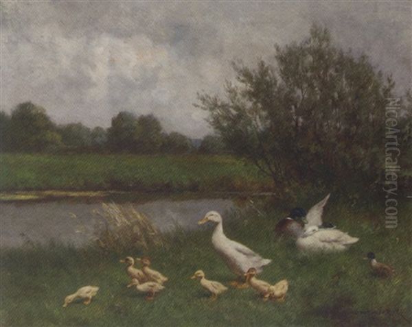 Ducks And Ducklings On A Riverbank - view 1