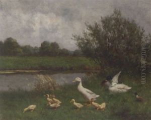 Ducks And Ducklings On A Riverbank