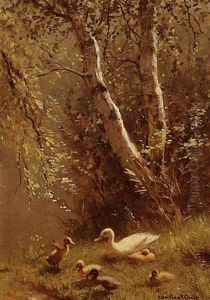 A Duck With Her Ducklings Near Birch Trees
