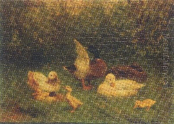 A Duck Family - view 1