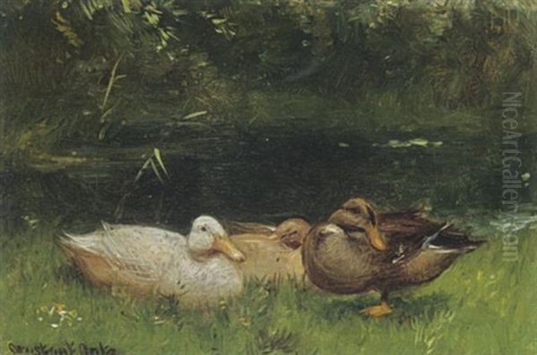 Ducks Near The Waterside - view 1