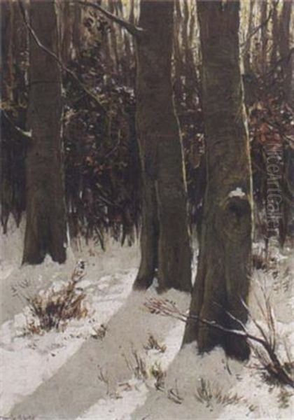 Trees In A Winter Landscape - view 1
