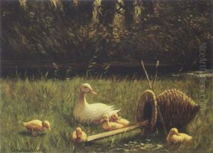 Duck With Ducklings Near The Waterside