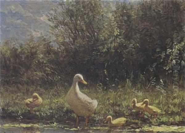 Duck With Her Ducklings On The Riverbank - view 1