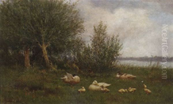 Ducks And Ducklings By A River - view 1