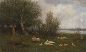 Ducks And Ducklings By A River