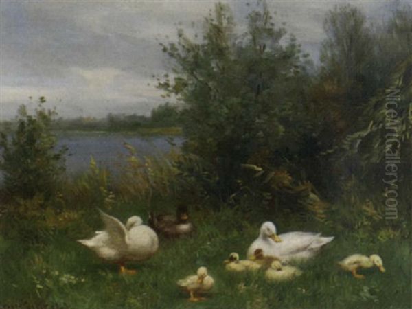Ducks By The Waterside - view 1