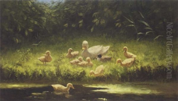 A Duck And Her Young On The River Bank - view 1