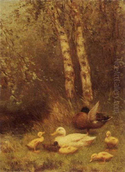 Duck With Ducklings On The Riverside - view 1