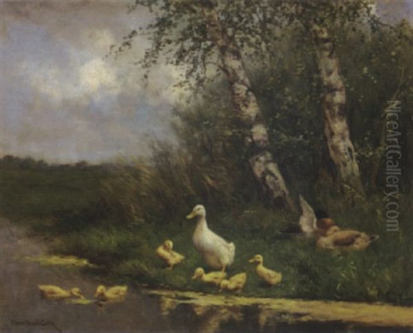 Ducks By A River - view 1