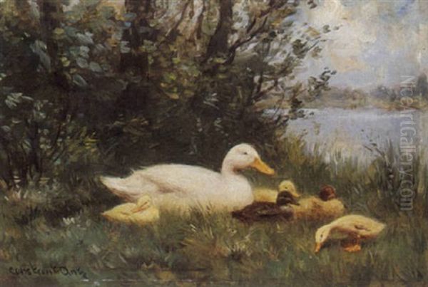 Duck And Ducklings On A Riverbank - view 1