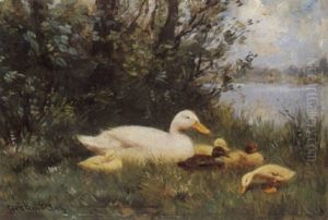 Duck And Ducklings On A Riverbank