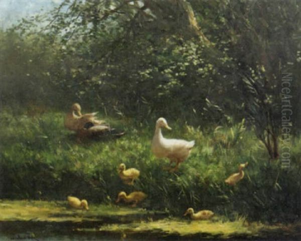 Ducks And Ducklings On A Sunlit Meadow - view 1