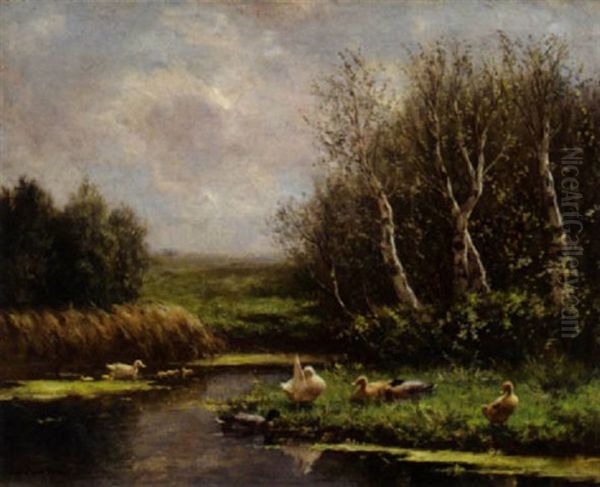 Ducks On A Riverbank - view 1